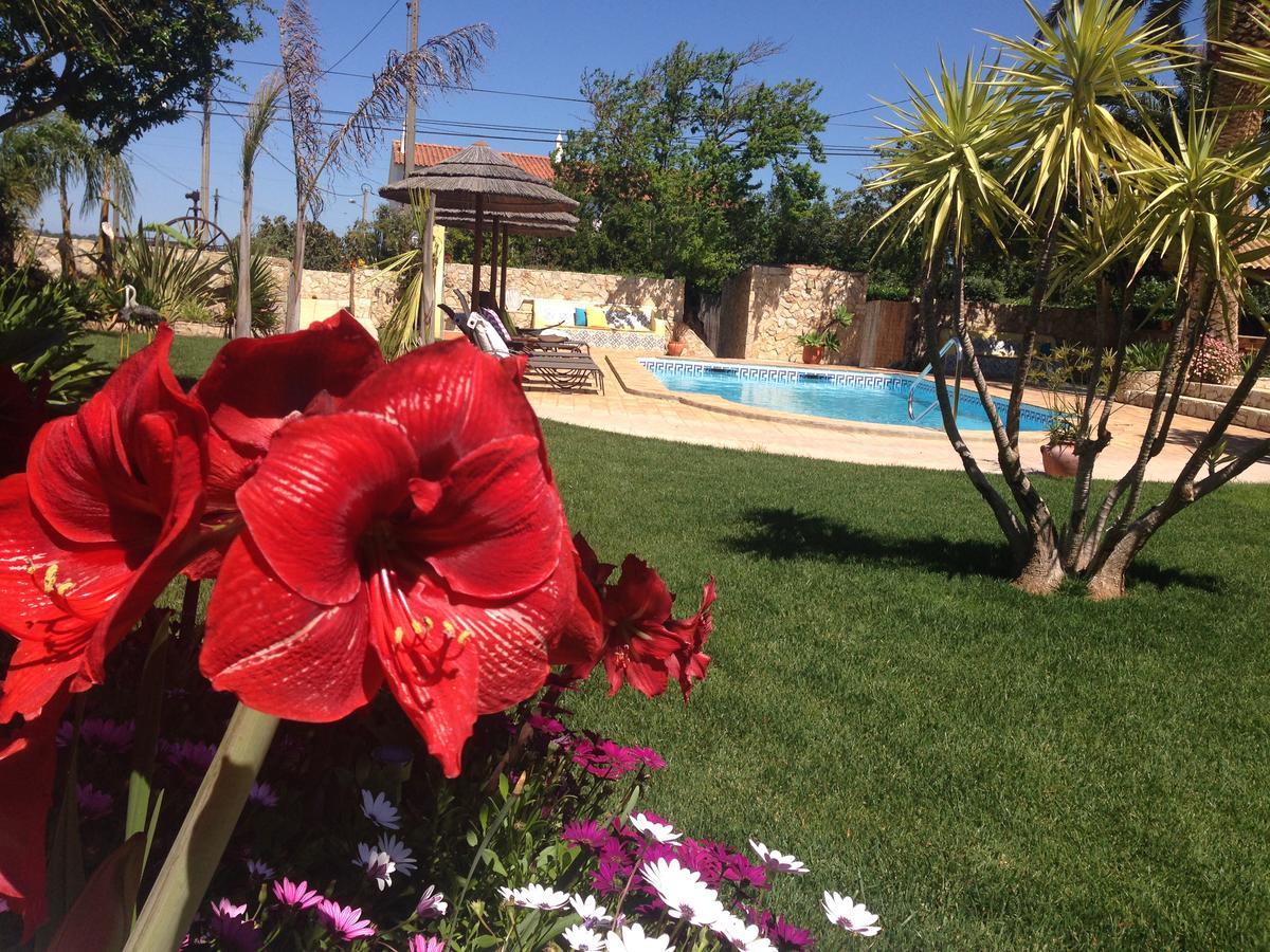Casa Paula Villas - Private Heatable Pool For Each House Lagos Bagian luar foto